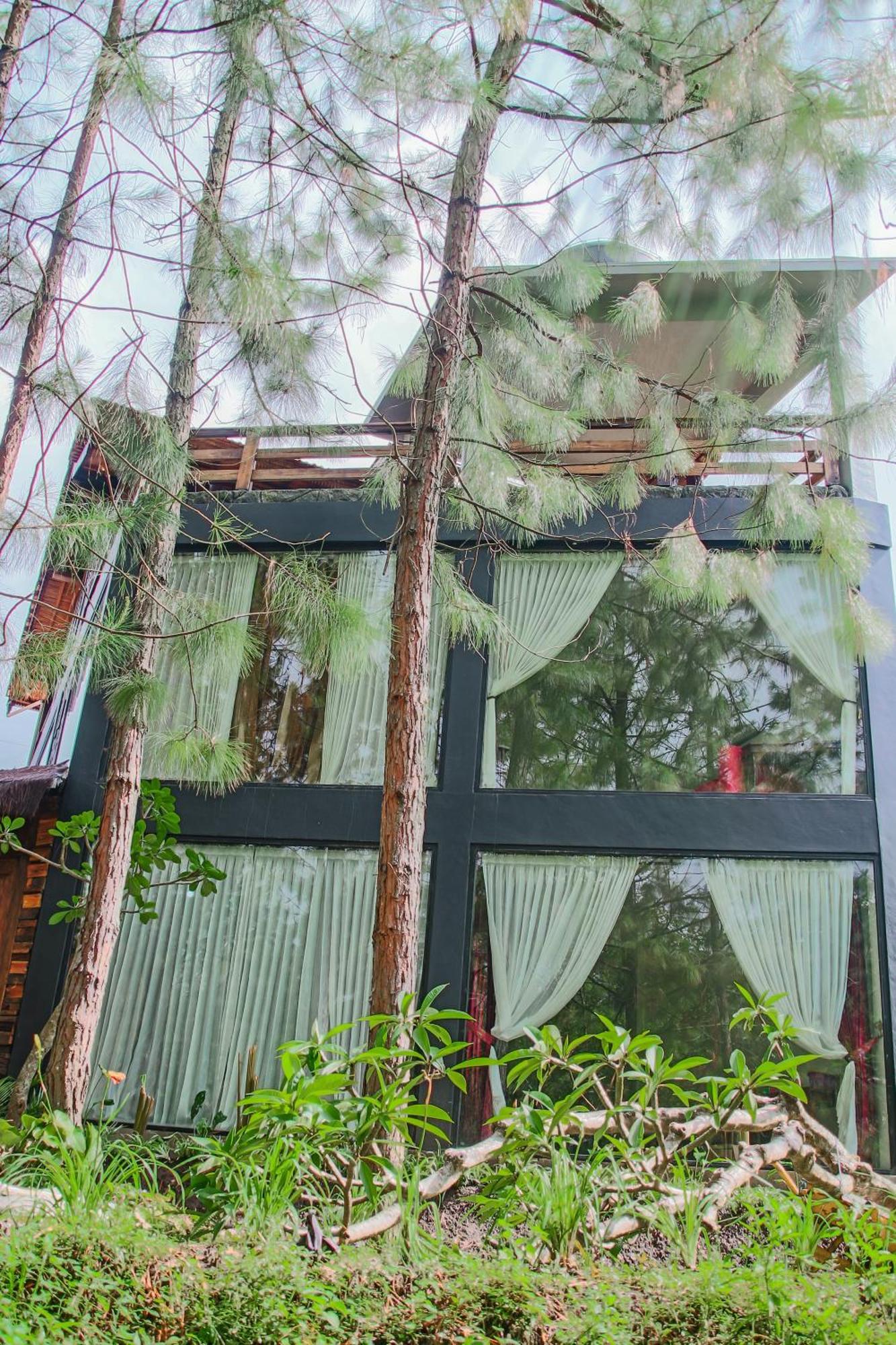 Willa Omah Kayu Bromo Ngadisari Zewnętrze zdjęcie