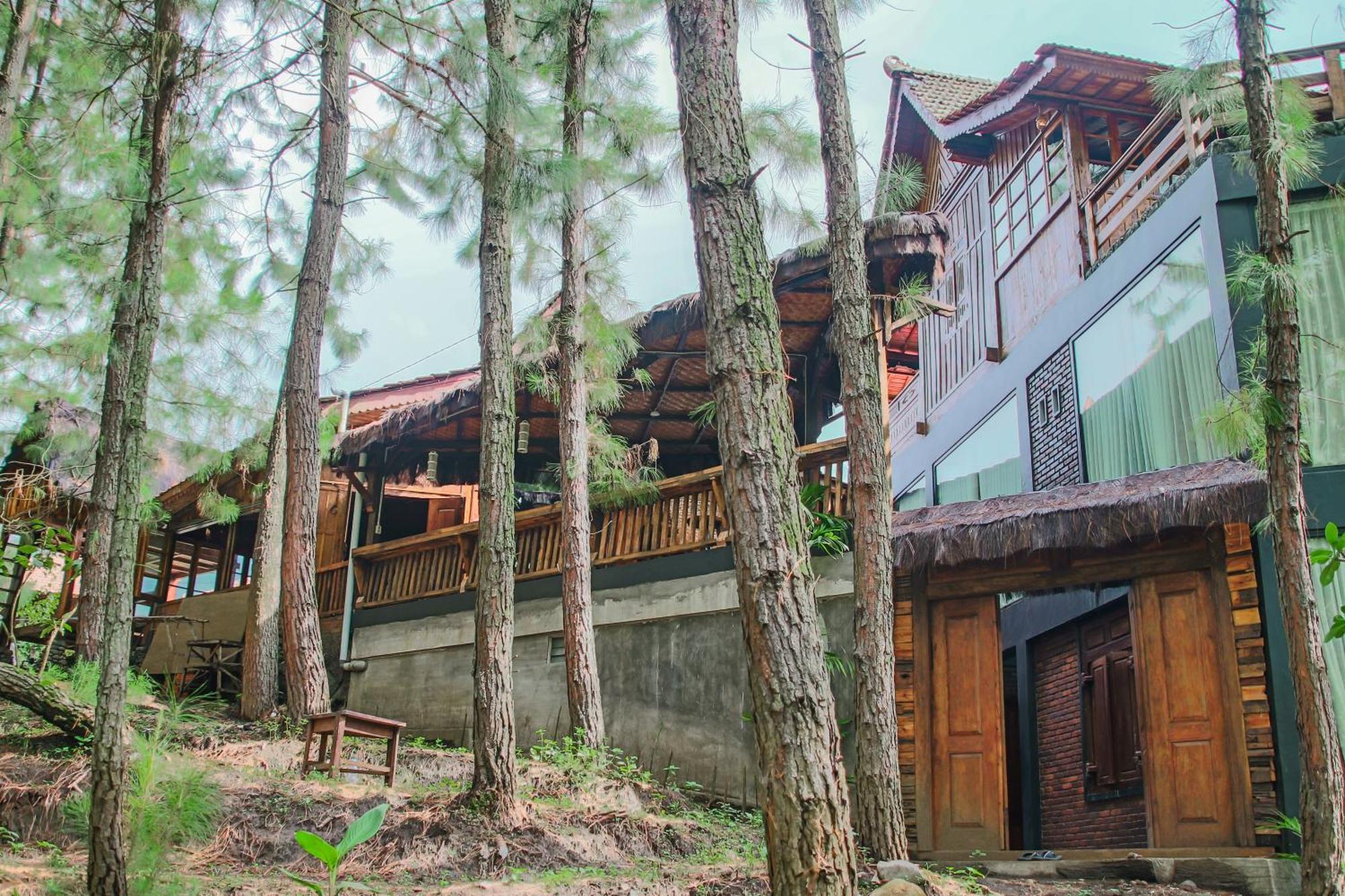 Willa Omah Kayu Bromo Ngadisari Zewnętrze zdjęcie